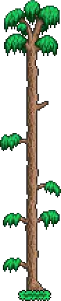 Tree (Forest).png