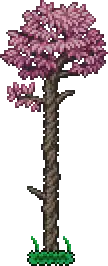 Tree (Sakura).png