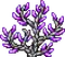 Treetop Amethyst 2.png