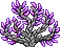 Treetop Amethyst 3.png