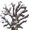Treetop Boreal 1.png