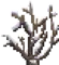 Treetop Boreal 2.png