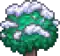 Treetop Boreal Alt1 3.png