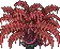 Treetop Crimson Oasis 1.png