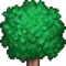 Treetop Forest 1.png