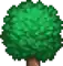 Treetop Forest 2.png