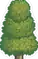 Treetop Hallowed Alt2 15.png
