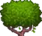 Treetop Jungle 1.png