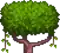 Treetop Jungle 3.png