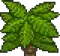 Treetop Palm 2.png