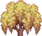 Treetop Yellow Willow 1.png
