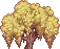 Treetop Yellow Willow 3.png