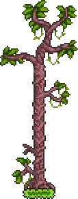Underground Jungle Tree.png