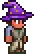 Wizard's Hat (equipped).png