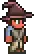 Wizard Hat (equipped).png