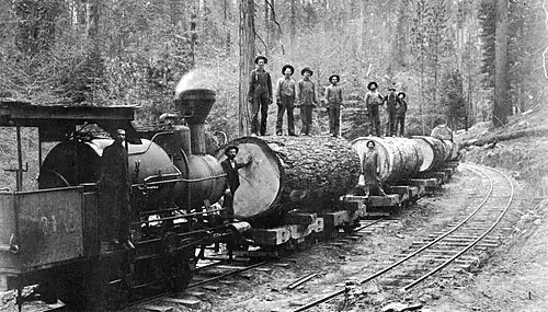 Betsy and a short log train