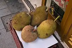 Árbol de jack