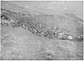 Remains exhumed in Ljuboten