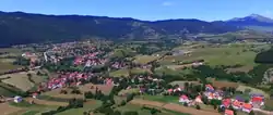 Šuica
