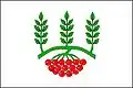 Flag of Žeraviny