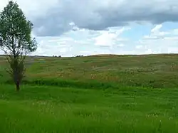 Landscape in Kotovsky District