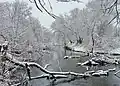Krynka River near Zuhres