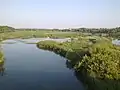 Nature reserve near Tetiiv