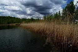 Lake Kuporosnoye, a protected area of Russia in Gaysky District