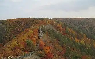 Zhiguli Zapovednik