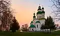 View of Assumption Cathedral from the yard