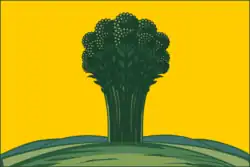 Flag of Surazh