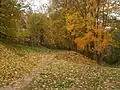 In autumn
