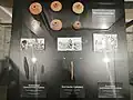 Objects from the Yankovskaya culture&nbsp;[fr].