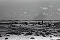 Mikhmoret 1947