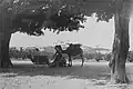 Ayanot 1934
