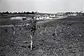 Sde Warburg 1938