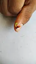 Seedling with seed coat