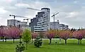 Salwator Tower, Salwator City and the "cherry alley" at the intersection with Bronowicka Street (2021)