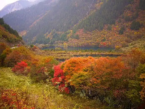 Shuzheng Lakes