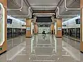 Line 8 platform
