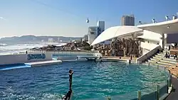 Kamogawa Seaworld