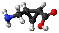 (+)-CAMP molecule