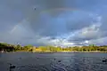 Duck Pond