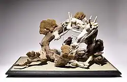 Duel of roots, 2009