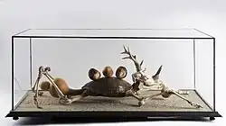 Fake Turtle, 2005