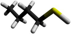 3D-stick model