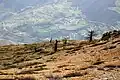 Mount Arfakuh, Mazandaran, Iran