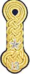 Shoulder mark m/1910 (13 = Dalarna Regiment)