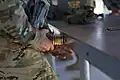 Ditto, with stripper clip pressed against a hard surface to load the magazine more quickly.