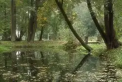 Park